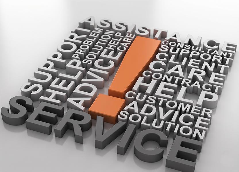 Intelligent Future customer service and project support team